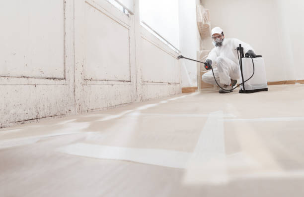 24/7 Emergency Commercial Mold Remediation experts in Columbus, NJ