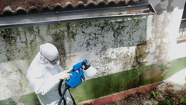 Top rated local Commercial Mold Remediation specialists in Columbus, NJ